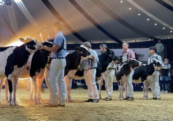 CALENDÁRIO DE EXPOSIÇÕES DA APCBRH JÁ ESTÁ DEFINIDO