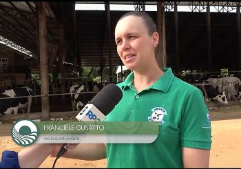 PARANÁ DESTACA FORÇA FEMININA NO CAMPO LEITEIRO